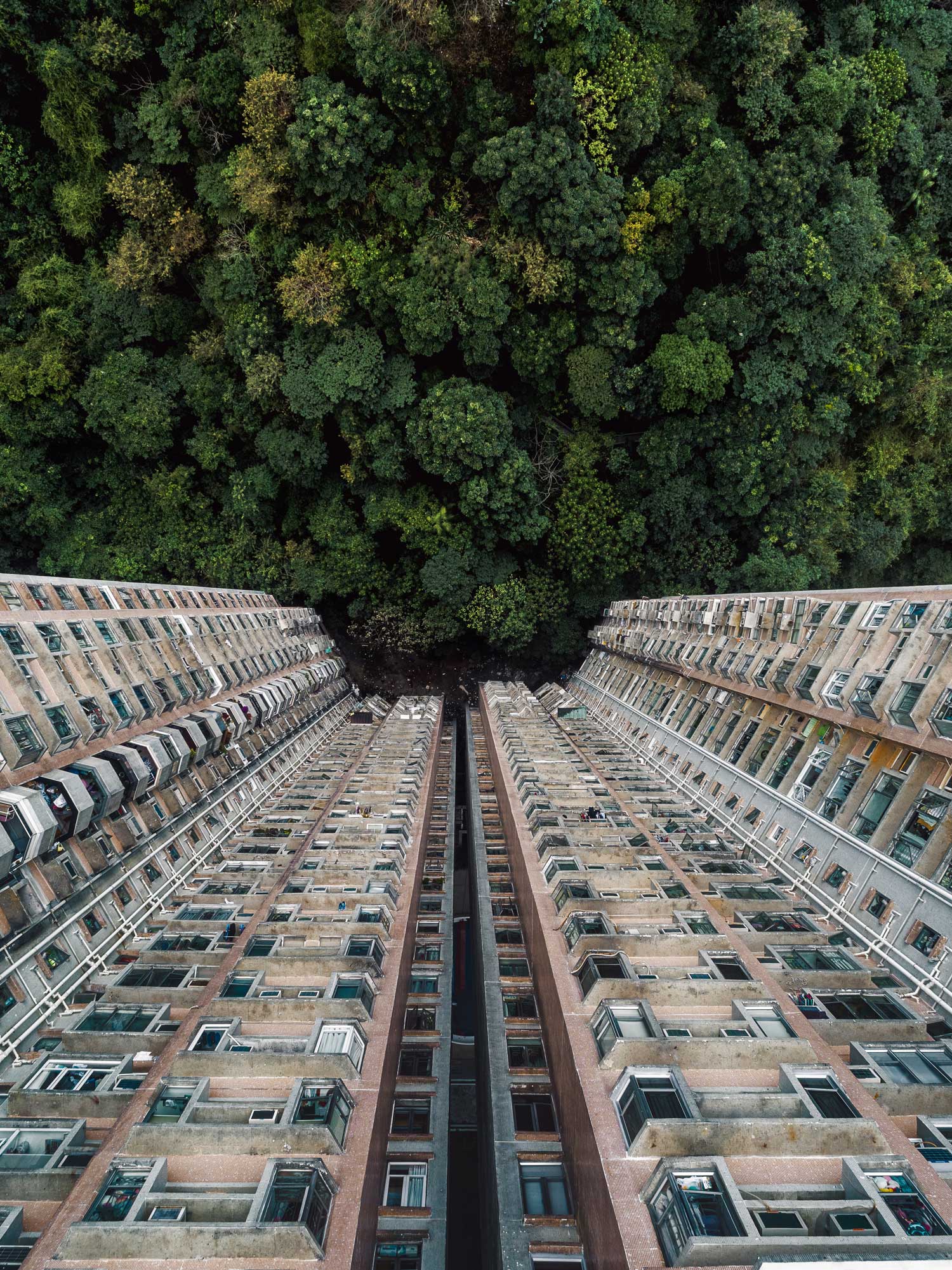 Apartment complex surrounded by trees. An example of how rewilding can be incorporated in an urban environment.