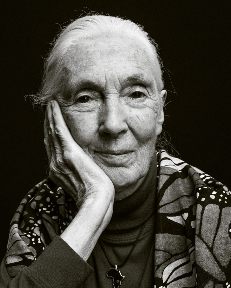 image of jane goodall