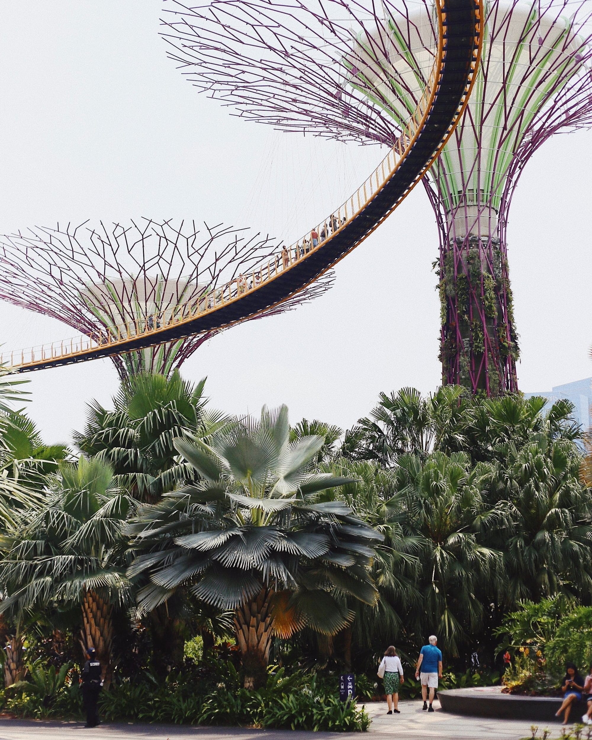 one of the 5 sustainable cities is singapore