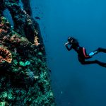 startups fighting the plastic crisis in the oceans