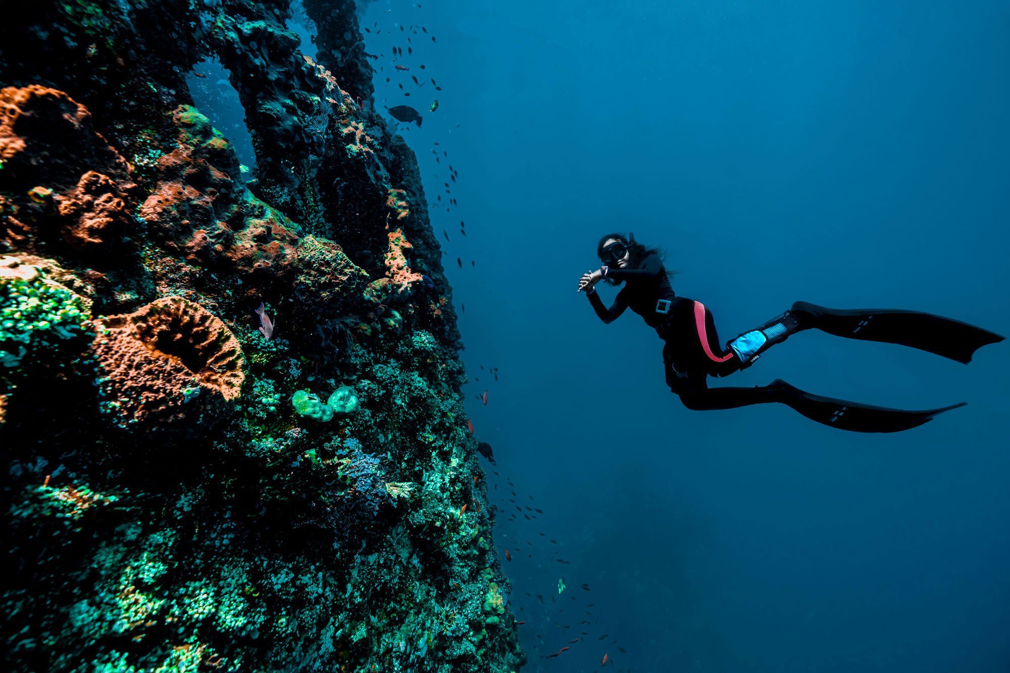 startups fighting the plastic crisis in the oceans