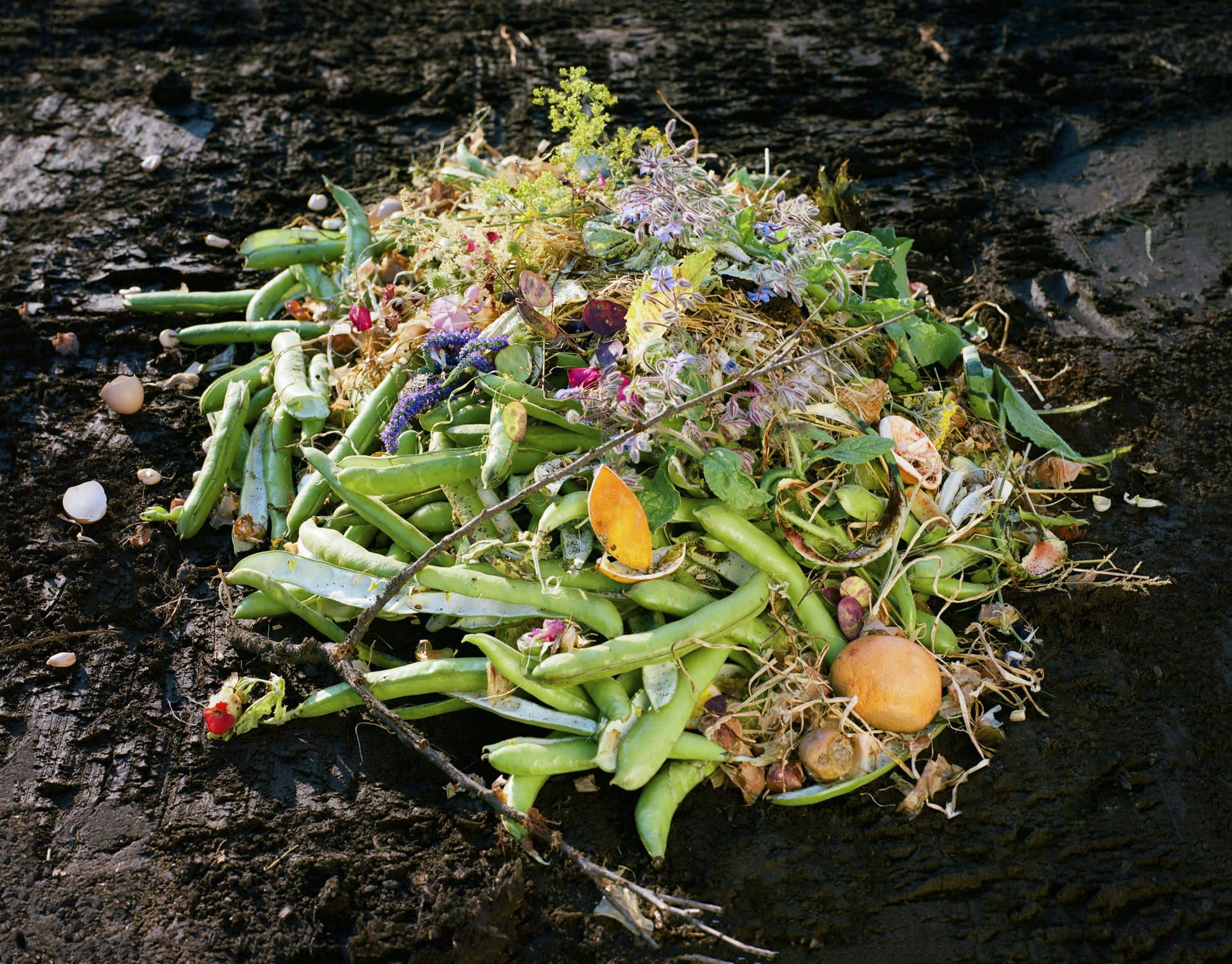 a pile of compost. What is composting