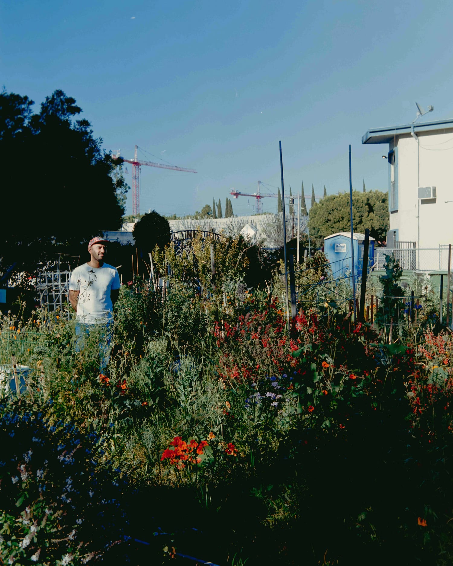 An example of a butterfly garden