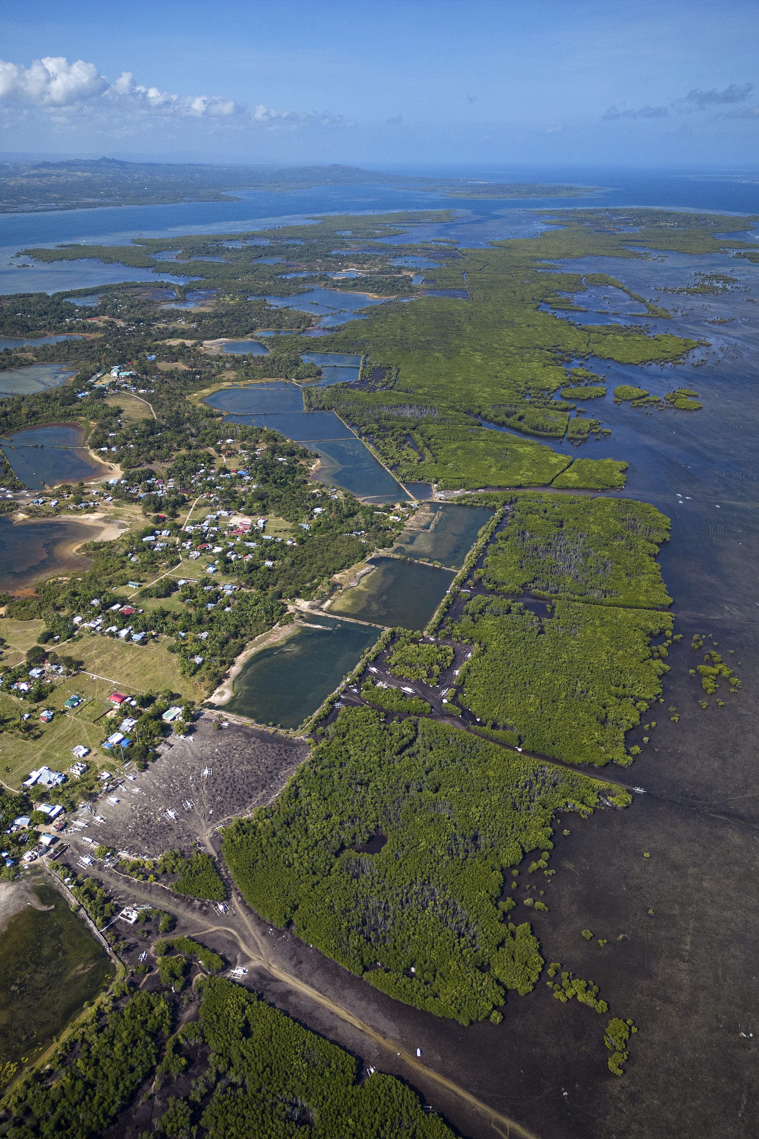 Mahanay Island mangrove forest seen from the sky. Giacomo d’Orlando photos