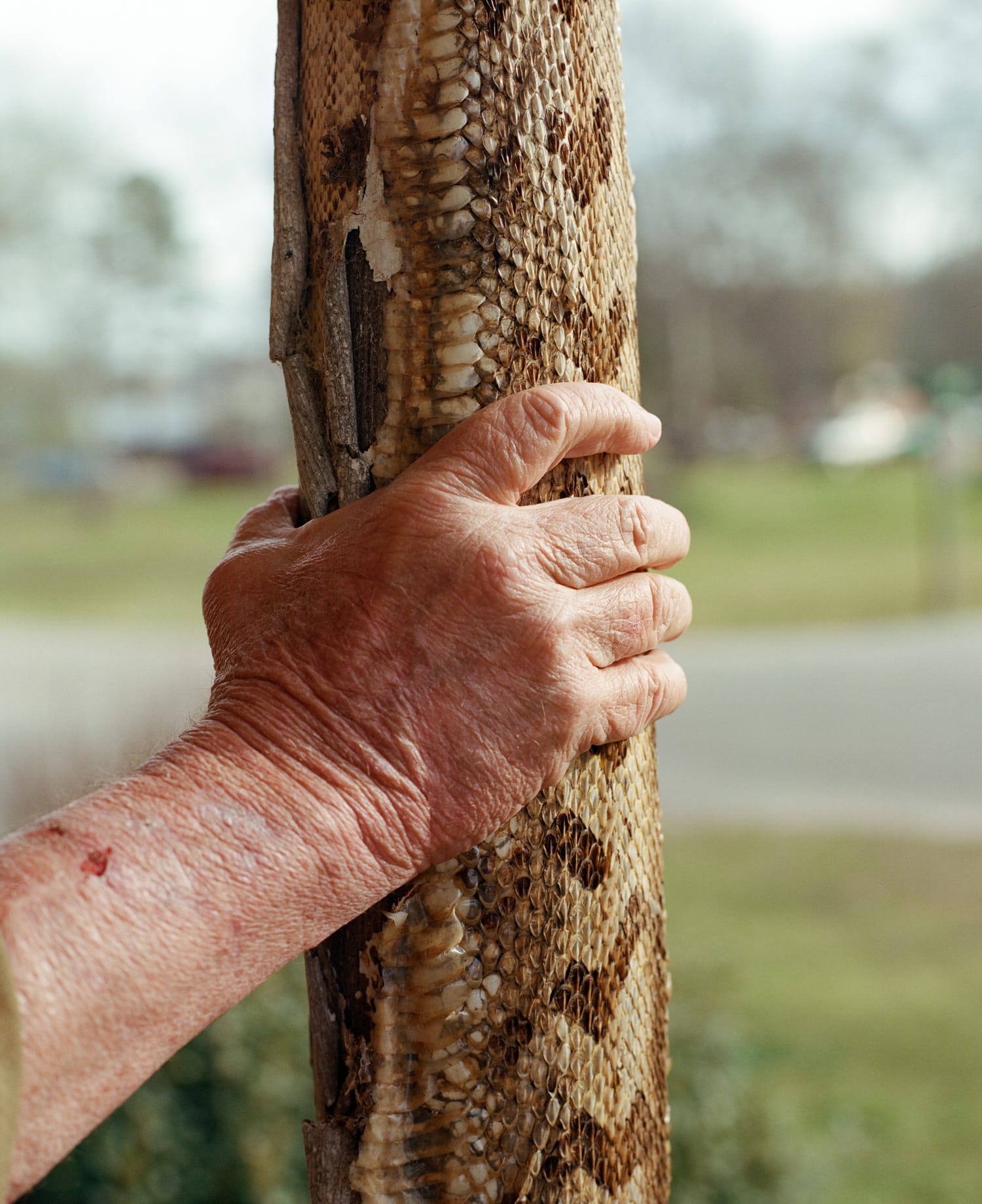 Will Harris' hand rests on a pole covered in snake skin