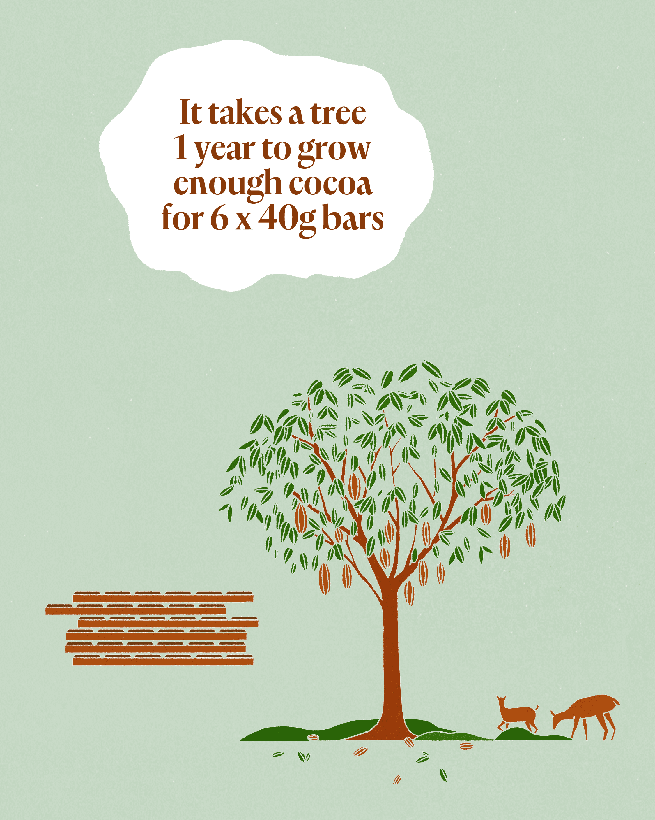 chocolate bar and its carbon footprint