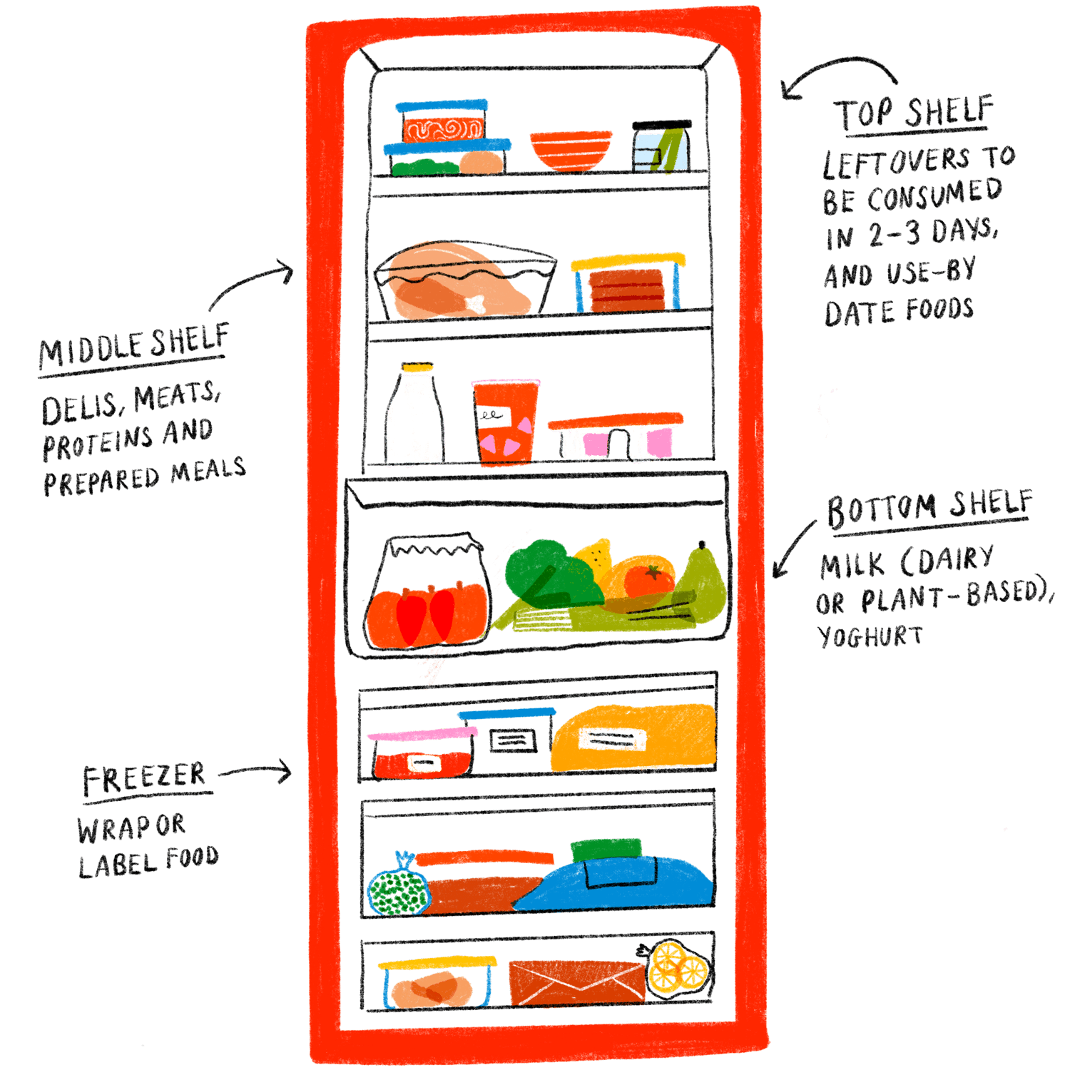illustration with tips to store food in your fridge preventing food waste