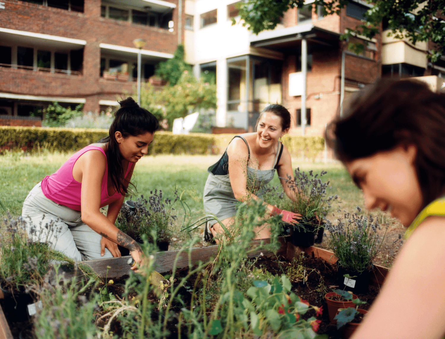 people gardening in a guerrilla garden in the city