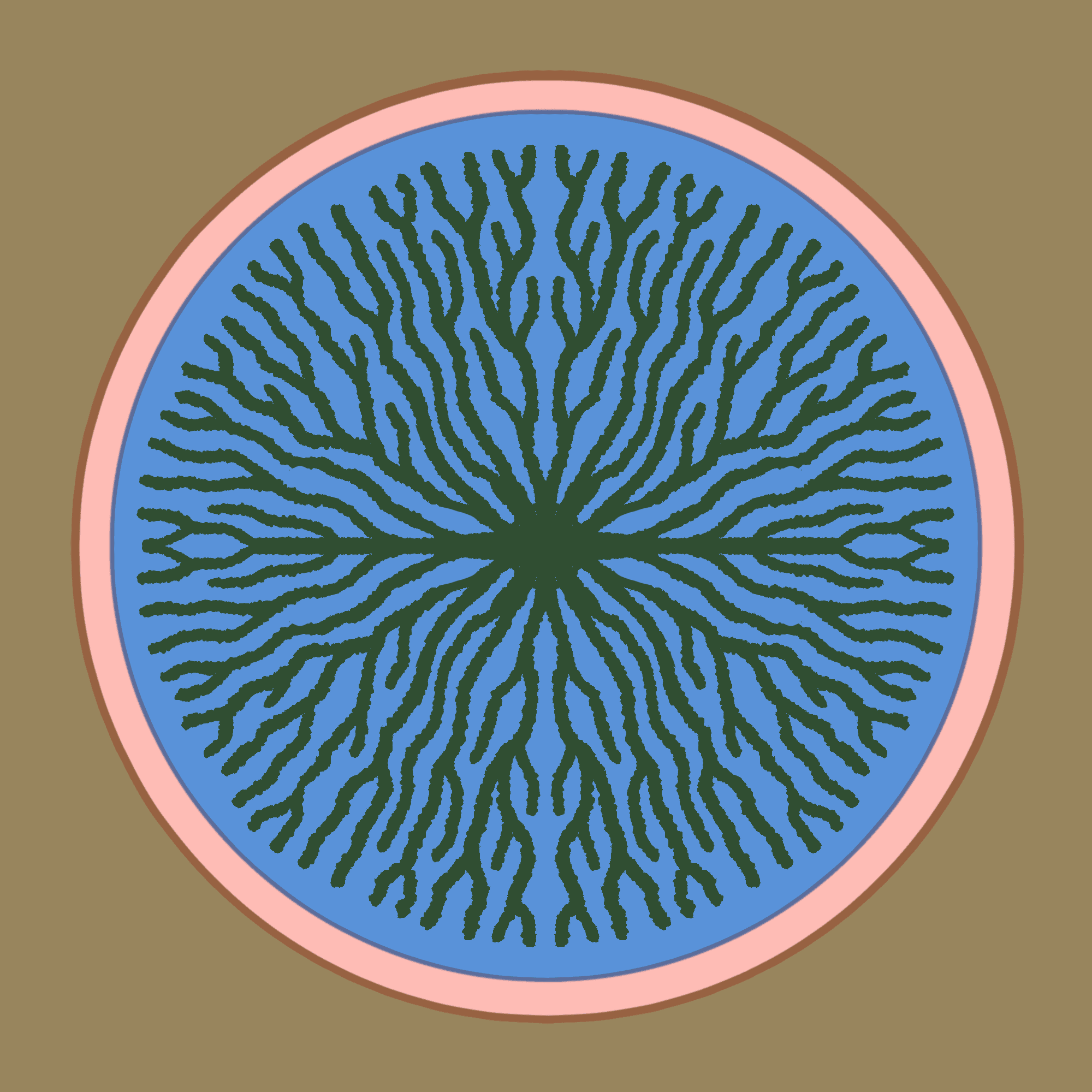 alternatives to plastic packaging